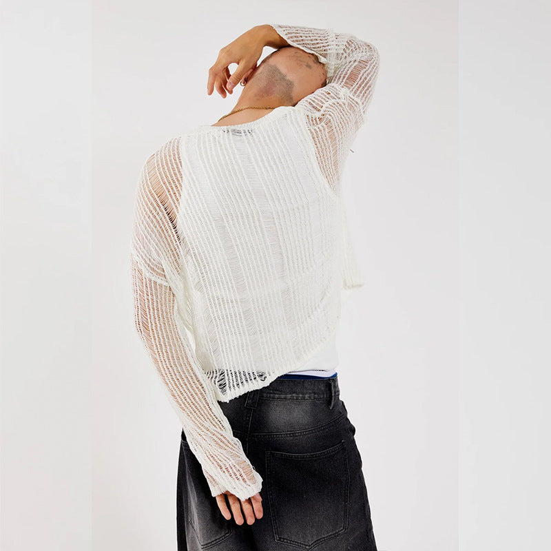 Hollow-Out Sheer Long Sleeve Top