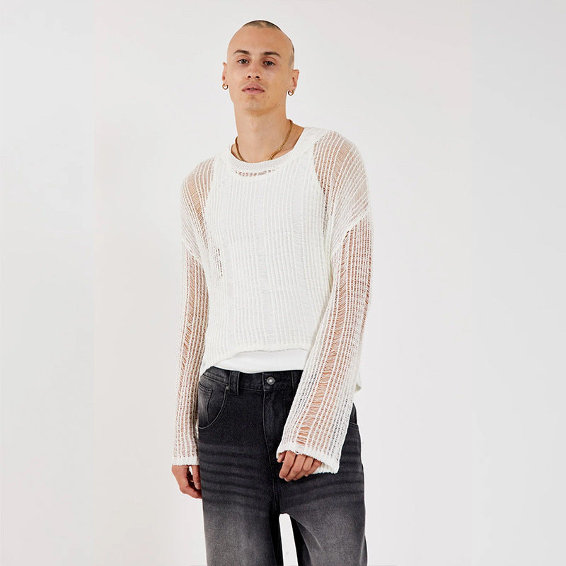 Hollow-Out Sheer Long Sleeve Top